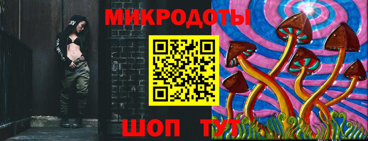 Псилоцибиновые грибы Psilocybe Уссурийск